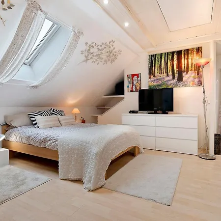 Agreable 45 M² Beinheim
